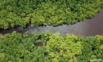 KELLER level loggers help researchers to monitor the climate change impact on biodiversity