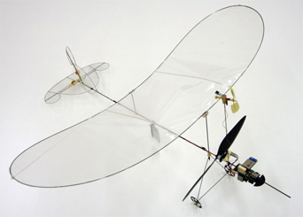 Microflyer