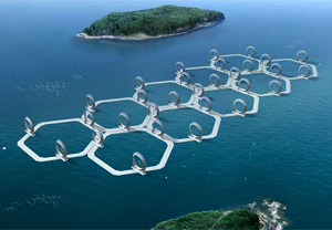 九州大学-风透镜