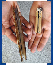 马萨诸塞理工学院