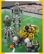 西澳大利亚大学