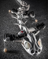 比科性实验室-Biorob