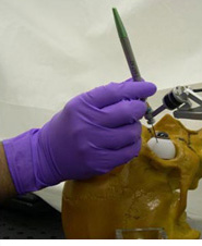 The Johns Hopkins University