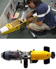 The University of Western Australia