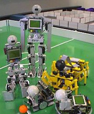 The University of Western Australia