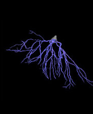 University of Reading