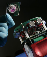 University of Reading