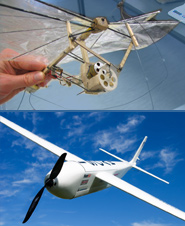 The University of Adelaide, Australia