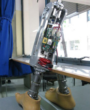 King Mongkut's University of Technology