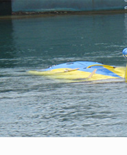 University of Hawaii at Manoa