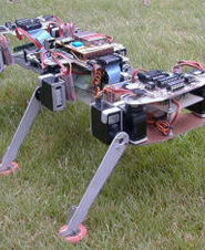 布鲁塞尔自由大学