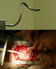 Carnegie Mellon University