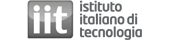 Italian Institute of Technology (IIT)