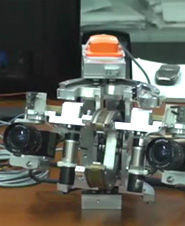 Democritus University of Thrace