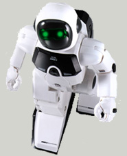 Robotix Lab Research Academy (Chennai)