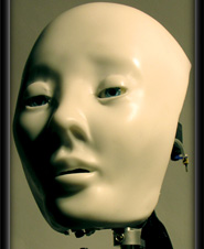 Technion Israel Institute of Technology