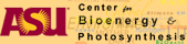 ASU中心生物能和相片合成